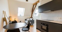 January Furnished Apartment Tilburg 6-23