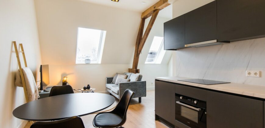 January Furnished Apartment Tilburg 6-23